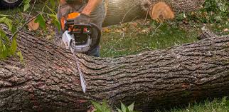 Best Firewood Processing and Delivery  in Hagerman, ID